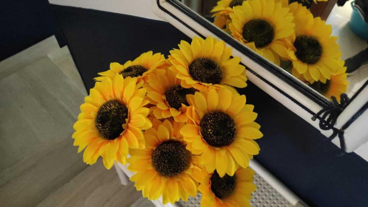 Il Girasole, Distante Solo 200 Mt. Reali Dal Mare Leilighet Lido Marini Eksteriør bilde